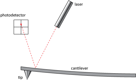 Diagram showing how the deflection of the cantilever is measured